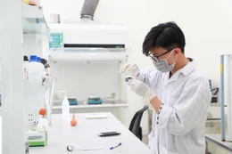 Sáp nhập, giải thể các cơ sở giáo dục đại học, giáo dục nghề nghiệp không đạt chuẩn