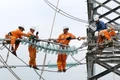 Hoàn thành thay thế cách điện đường dây 220kV mạch kép Thái Bình – Tiền Hải – Trực Ninh