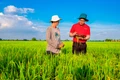 Agribank - Vững thế chủ lực đối với “trụ đỡ” nền kinh tế