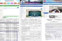 Trường học phê duyệt cho Công ty An Lạc Việt trúng thầu trải nghiệm ngoại khóa công khai ra sao?