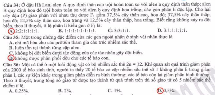 Xem đáp án môn Vật lí - Xem đáp án môn Toán - Xem đáp án môn Hóa - Xem đáp án môn Ngoại ngữ Khối A1