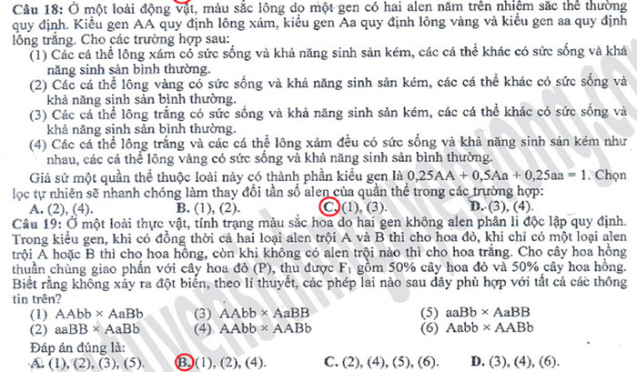 Xem đáp án môn Vật lí - Xem đáp án môn Toán - Xem đáp án môn Hóa - Xem đáp án môn Ngoại ngữ Khối A1 Xem đáp án môn Vật lí - Xem đáp án môn Toán - Xem đáp án môn Hóa - Xem đáp án môn Ngoại ngữ Khối A1