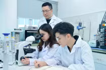 8 nhiệm vụ của giáo dục đại học, cao đẳng sư phạm trong năm học 2026 - 2027