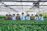 Khó tuyển nghiên cứu sinh khiến ngành nông - lâm nghiệp và thủy sản đứng trước nhiều nguy cơ