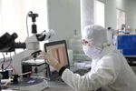 ĐHQGHN thí điểm hỗ trợ tài chính cho nhà khoa học xuất sắc: Tạo cú hích ở cả ngắn hạn và dài hạn