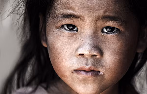 Triển lãm chính thức khai mạc vào ngày 9/5 và mở cửa đón khách tham quan đến hết ngày 29/5.