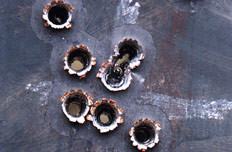 Ảnh minh họa/ Nguồn: Internet Ảnh minh họa/ Nguồn: Internet