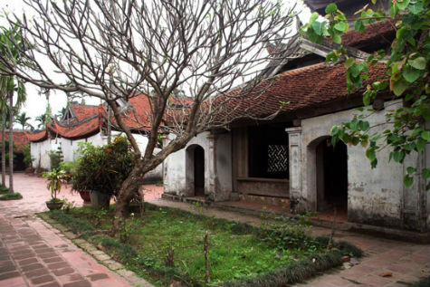 Chùa nằm ở vùng Dâu, thời thuộc Hán gọi là Luy Lâu. Đây là trung tâm cổ xưa nhất của Phật giáo Việt Nam. Tại vùng Dâu có năm ngôi chùa cổ: chùa Dâu thờ Pháp Vân (法雲寺, "mây pháp"), chùa Đậu thờ Pháp Vũ (法雨寺, "mưa pháp"), chùa Tướng thờ Pháp Lôi (法雷寺, "sấm pháp"), chùa Dàn thờ Pháp Điện (法電報寺 "chớp pháp") và chùa Tổ thờ Man Nương là mẹ của Tứ Pháp. Năm chùa này ngoài thờ Phật còn thờ các nữ thần.