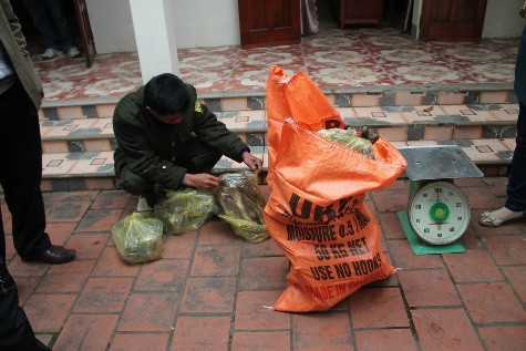 Cùng với 2 cá thể nghi là loài báo lửa trên cơ quan chức năng còn thu giữ được trên 43kg xương động vật chưa rõ chủng loài Cùng với 2 cá thể nghi là loài báo lửa trên cơ quan chức năng còn thu giữ được trên 43kg xương động vật chưa rõ chủng loài