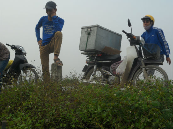 Ngay trong lúc các tốp "thợ săn chuột" còn đang lúi húi săn tìm chuột dưới ruộng thì phía trên bờ, các thương lái đã tìm đến chờ sẵn để thu mua chuột săn được.