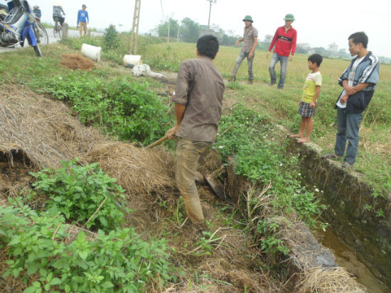 Mỗi tốp "thợ săn" thường từ 5-7 người, tốp thợ nào đông thì lên đến hàng chục người. Mỗi người đều có một công việc, nhiệm vụ cụ thể trong những chuyến săn chuột như vậy.