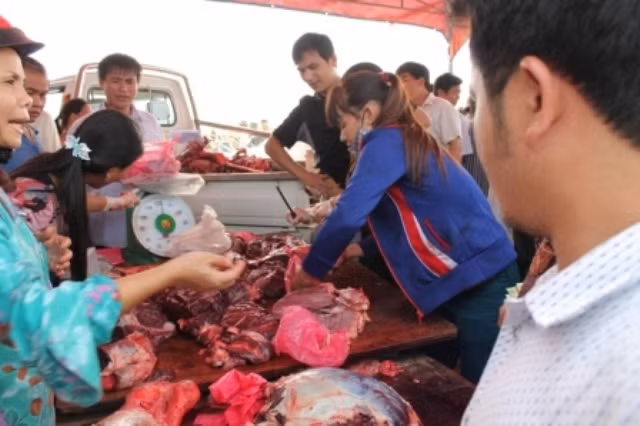 Những chú trâu thua cuộc sau đó được đưa ra xẻ thịt. Giá thịt trâu chọi năm nay được bán với giá từ 200 - 300 nghìn đồng/kg Những chú trâu thua cuộc sau đó được đưa ra xẻ thịt. Giá thịt trâu chọi năm nay được bán với giá từ 200 - 300 nghìn đồng/kg