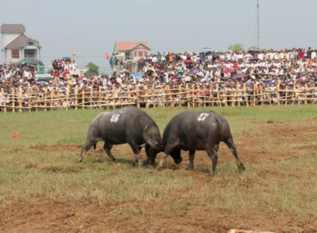 ...và nhảy vào quyết chiến ...và nhảy vào quyết chiến