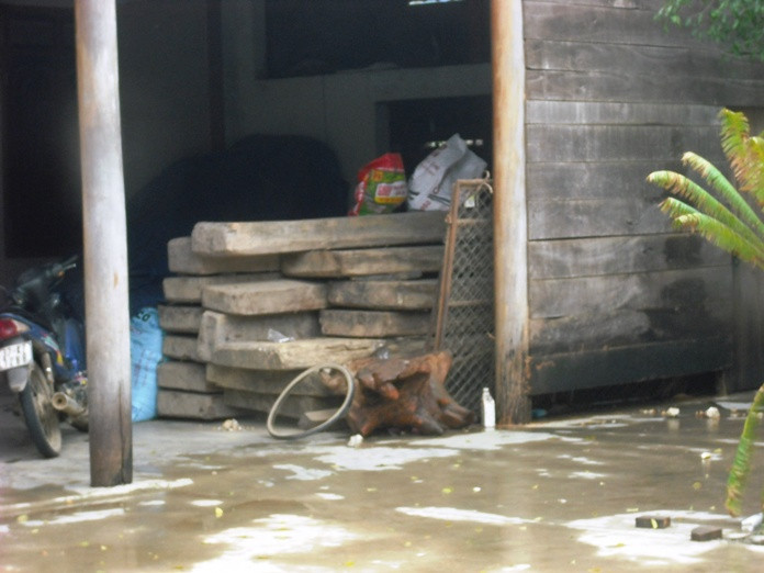 Gỗ được người dân khai thác bất hợp pháp được người dân chất đầy dưới chân nhà sàn và thậm chí được chất công khai thành từng đống lớn ngay bên vệ đường Quốc lộ 48C