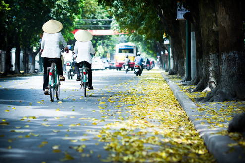 Lá vàng ngập phố cũng tạo nên một cảm giác bình yên khó tả. Lá vàng ngập phố cũng tạo nên một cảm giác bình yên khó tả.