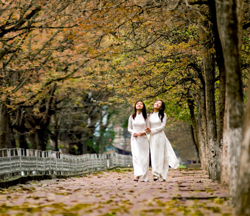 Với những hàng cây dài, tĩnh lặng xua tan cái ồn ào của Hà Nội phồn hoa, đường Phan Đình Phùng(Hà Nội) mang lại cảm giác riêng tư cho các cặp đôi, để cho những nỗi nhớ, niềm thương : “Phố dài đâu của riêng ai Nghìn năm lòng vẫn thương hoài phố xưa…” Với những hàng cây dài, tĩnh lặng xua tan cái ồn ào của Hà Nội phồn hoa, đường Phan Đình Phùng(Hà Nội) mang lại cảm giác riêng tư cho các cặp đôi, để cho những nỗi nhớ, niềm thương : “Phố dài đâu của riêng ai Nghìn năm lòng vẫn thương hoài phố xưa…”