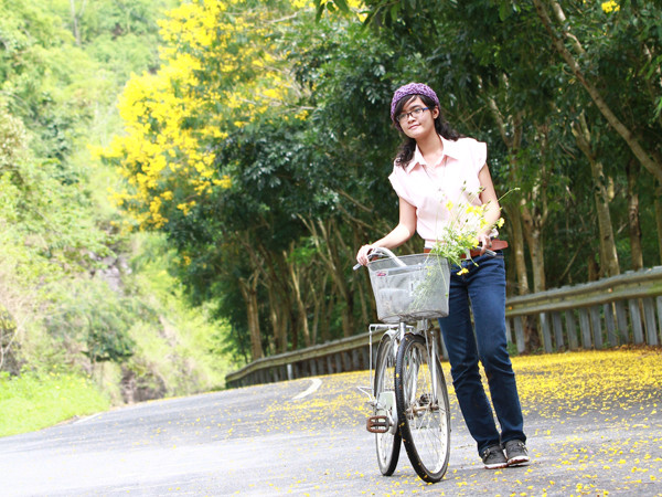 Con đường trải đầy hoa điệp vàng, dẫn vào tháp Pongour (Đà Lạt). Nó hút hồn không ít các bạn trẻ khi qua đây. Con đường trải đầy hoa điệp vàng, dẫn vào tháp Pongour (Đà Lạt). Nó hút hồn không ít các bạn trẻ khi qua đây.