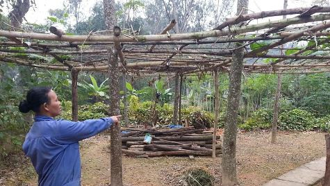 Bà Nguyễn Thị Liên (hàng xóm anh Hậu) người chứng kiến sự việc chỉ nơi anh Hậu đã bị ông Hạnh xịt hơi cay và còng tay vào đêm ngày 16/11 Bà Nguyễn Thị Liên (hàng xóm anh Hậu) người chứng kiến sự việc chỉ nơi anh Hậu đã bị ông Hạnh xịt hơi cay và còng tay vào đêm ngày 16/11