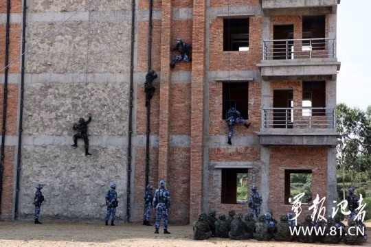 Diễn tập leo trèo.