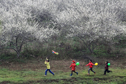 Buổi chiều đồng vọng Buổi chiều đồng vọng