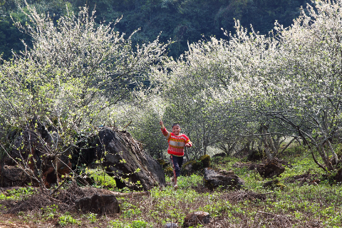 Niềm vui của trẻ thơ Niềm vui của trẻ thơ