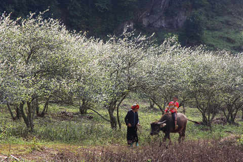 Ấm áp tình mẫu tử Ấm áp tình mẫu tử