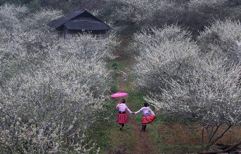 Sắc tháng Giêng Sắc tháng Giêng
