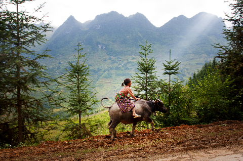 Niềm vui của trẻ em vùng cao thật đơn giản nhưng phong phú. Có lúc chỉ là được cưỡi trâu về chuồng