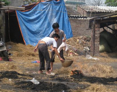 Thậm chí, có không ít quán thịt chó còn tiến hành mổ chó, thui chó ngay tại trước cửa hàng, trên nền đất mất vệ sinh. Những quán thịt chó này bao quanh là rác rưởi và ruồi nhặng bay khắp nơi. Ảnh: Hình ảnh thui chó tại một quán thịt chó tại Lĩnh Nam, Hà Nội. Thậm chí, có không ít quán thịt chó còn tiến hành mổ chó, thui chó ngay tại trước cửa hàng, trên nền đất mất vệ sinh. Những quán thịt chó này bao quanh là rác rưởi và ruồi nhặng bay khắp nơi. Ảnh: Hình ảnh thui chó tại một quán thịt chó tại Lĩnh Nam, Hà Nội.