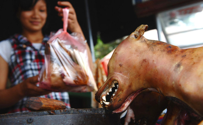 Món thịt chó được người Việt Nam coi là món khoái khẩu. Nhiều người cho rằng món thịt chó là món thịt ba không bởi không kiểm dịch, không đăng ký kinh doanh, không quan tâm đến nguồn gốc. Nhu cầu lớn mà nguồn cung cũng khá dồi dào. Vì thế, việc kinh doanh thịt chó vẫn đang "tung hoành", chất lượng của món thịt chó là một điều đáng bàn. Món thịt chó được người Việt Nam coi là món khoái khẩu. Nhiều người cho rằng món thịt chó là món thịt ba không bởi không kiểm dịch, không đăng ký kinh doanh, không quan tâm đến nguồn gốc. Nhu cầu lớn mà nguồn cung cũng khá dồi dào. Vì thế, việc kinh doanh thịt chó vẫn đang "tung hoành", chất lượng của món thịt chó là một điều đáng bàn.