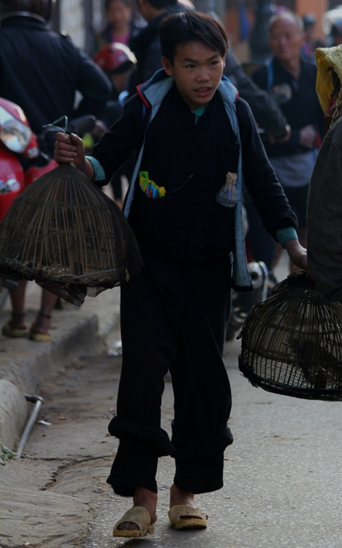 Sau mỗi buổi học về, các em nam thường vào rừng bẫy chim để sáng hôm sau mang xuống chợ bán. Loài chim được bẫy nhiều nhất là Quế Lâm và chim Họa Mi. Loài Quế Lâm được bán với giá từ 50-100/con. Sau mỗi buổi học về, các em nam thường vào rừng bẫy chim để sáng hôm sau mang xuống chợ bán. Loài chim được bẫy nhiều nhất là Quế Lâm và chim Họa Mi. Loài Quế Lâm được bán với giá từ 50-100/con.