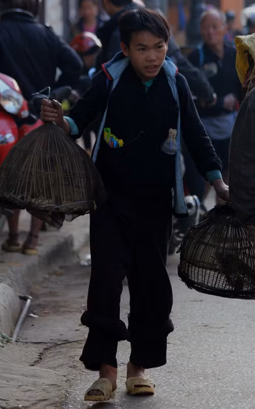 Sau mỗi buổi học về, các em nam thường vào rừng bẫy chim để sáng hôm sau mang xuống chợ bán. Loài chim được bẫy nhiều nhất là Quế Lâm và chim Họa Mi. Loài Quế Lâm được bán với giá từ 50-100/con.