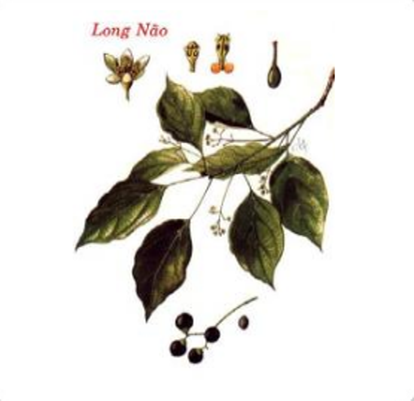 Bột long não: Cho 2 thìa bột long não vào một chai nước và phơi dưới nắng khoảng 15 ngày. Sau đó dùng bông gòn thấm dung dịch đó bôi vào nách. Cách làm này có vẻ khá công phu so với những cách trên, tuy nhiên hiệu quả sẽ là nhanh chóng nhất. Xem thêm: Ăn những thực phẩm này, coi chừng bị "tẩy chay" vì... hôi miệng