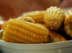 Ngô còn có thể chống lão hóa, ung thư Ngô còn có thể chống lão hóa, ung thư