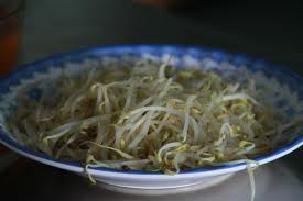 Giá luộc lấy nước đặc, cho tí muối vào ngậm. Còn phần giá thì ăn luôn, điều này sẽ giúp cho giọng trong và không bị khàn. Xem thêm: 26 loại thực phẩm giúp bạn ‘thanh lọc’ cơ thể Giá luộc lấy nước đặc, cho tí muối vào ngậm. Còn phần giá thì ăn luôn, điều này sẽ giúp cho giọng trong và không bị khàn. Xem thêm: 26 loại thực phẩm giúp bạn ‘thanh lọc’ cơ thể