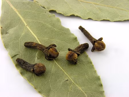 Chữa ngạt mũi, cảm cúm, nhức đầu: cao xoa (dạng cao mềm như cao sao vàng) gồm tinh dầu đinh hương, bạc hà, quế, long não, sa nhân, hồi. Khi dùng, lấy một ít cao, bôi xoa vào mũi, thái dương, gáy.- Xem thêm:Điểm danh 12 loại rau, quả dễ nhiễm thuốc trừ sâu hàng đầu 2012 Chữa ngạt mũi, cảm cúm, nhức đầu: cao xoa (dạng cao mềm như cao sao vàng) gồm tinh dầu đinh hương, bạc hà, quế, long não, sa nhân, hồi. Khi dùng, lấy một ít cao, bôi xoa vào mũi, thái dương, gáy.- Xem thêm:Điểm danh 12 loại rau, quả dễ nhiễm thuốc trừ sâu hàng đầu 2012