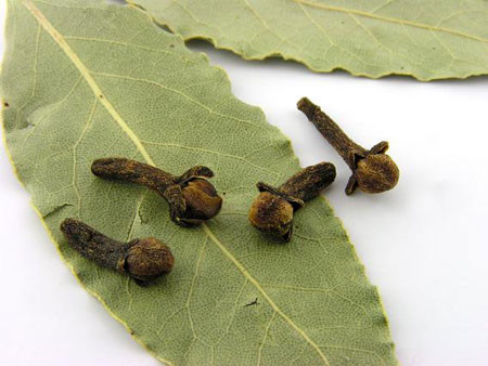 Chữa ngạt mũi, cảm cúm, nhức đầu: cao xoa (dạng cao mềm như cao sao vàng) gồm tinh dầu đinh hương, bạc hà, quế, long não, sa nhân, hồi. Khi dùng, lấy một ít cao, bôi xoa vào mũi, thái dương, gáy.- Xem thêm:Điểm danh 12 loại rau, quả dễ nhiễm thuốc trừ sâu hàng đầu 2012 Chữa ngạt mũi, cảm cúm, nhức đầu: cao xoa (dạng cao mềm như cao sao vàng) gồm tinh dầu đinh hương, bạc hà, quế, long não, sa nhân, hồi. Khi dùng, lấy một ít cao, bôi xoa vào mũi, thái dương, gáy.- Xem thêm:Điểm danh 12 loại rau, quả dễ nhiễm thuốc trừ sâu hàng đầu 2012