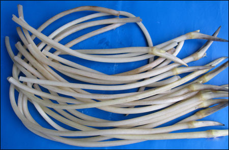 Nước ép ngó sen hoà mật: ngó sen tươi 100g, mật mía tươi (hoặc nước mía) 50g (50ml). Ngó sen ép lấy nước, trộn với nước mía, chia 2 lần uống trong ngày. Dùng khi bị cảm cúm, trúng nóng, trúng nắng hoặc khô hanh gây kích ứng, vật vã, sốt, khát nước. Xem thêm:Những thói quen xấu "ăn cắp" giấc ngủ ngon của bạn