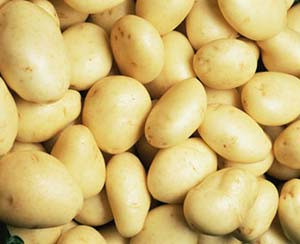 Bổ sung Kali: Thời tiết nóng khiến hàm lượng kali trong cơ thể dễ dàng bị hạ thấp, mồ hôi tiết ra nhiều càng khiến cho lượng natri và kali hao hụt nhanh chóng. Trong trường hợp hạ kali máu, bạn sẽ thấy bủn rủn chân tay, tim cũng hồi hộp, tức ngực, buồn nôn. Vì vậy, bổ sung Kali cũng là yếu tố cần thiết. Nguồn thực phẩm giàu Kali mà bạn có thể lựa chọn là thịt lợn nạc, hải sản, thịt bò, cải bắp, khoai tây, chuối... Xem thêm: "Ướp hương" cơ thể với những "thảo dược" dân dã quanh ta Bổ sung Kali: Thời tiết nóng khiến hàm lượng kali trong cơ thể dễ dàng bị hạ thấp, mồ hôi tiết ra nhiều càng khiến cho lượng natri và kali hao hụt nhanh chóng. Trong trường hợp hạ kali máu, bạn sẽ thấy bủn rủn chân tay, tim cũng hồi hộp, tức ngực, buồn nôn. Vì vậy, bổ sung Kali cũng là yếu tố cần thiết. Nguồn thực phẩm giàu Kali mà bạn có thể lựa chọn là thịt lợn nạc, hải sản, thịt bò, cải bắp, khoai tây, chuối... Xem thêm: "Ướp hương" cơ thể với những "thảo dược" dân dã quanh ta