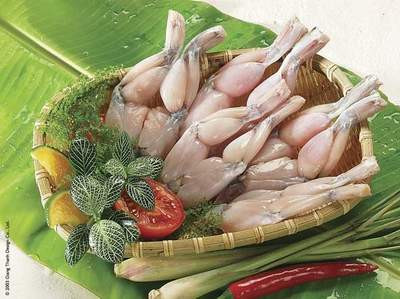 Chế biến thịt ếch cần cẩn thận để đảm bảo sức khỏe. Chế biến thịt ếch cần cẩn thận để đảm bảo sức khỏe.