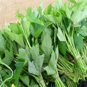 15. Lá khoai lang: Lá khoai lang chứa xơ mềm, không đắng chát, dễ có cảm giác no, lại thúc đẩy nhu động đường ruột, dự phòng táo bón. Xem thêm: Phòng trừ ung thư hiệu quả với rau củ quanh ta 15. Lá khoai lang: Lá khoai lang chứa xơ mềm, không đắng chát, dễ có cảm giác no, lại thúc đẩy nhu động đường ruột, dự phòng táo bón. Xem thêm: Phòng trừ ung thư hiệu quả với rau củ quanh ta