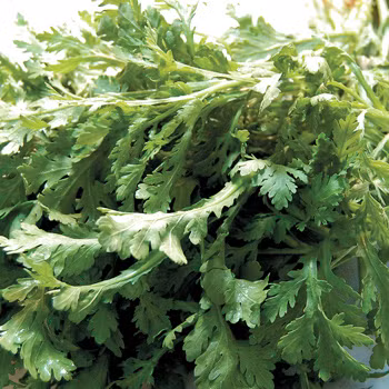 14. Tần ô: Tần ô chứa nhiều vitamin A, bảo vệ tạng gan, giúp bài độc trong cơ thể. Tần ô cùng các rau quả như cà chua, cam, cà rốt, bưởi, táo tây chế thành thức uống cũng là cách chọn hợp lý. Xem thêm: Phòng trừ ung thư hiệu quả với rau củ quanh ta