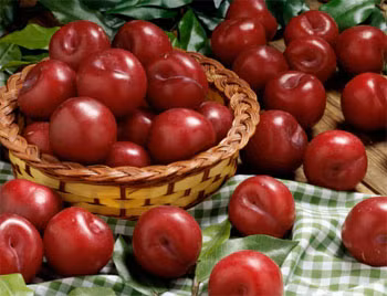 21. Mận: Đông y hiện đại cho rằng mận có công hiệu thanh can, sinh tân, lợi tiểu, giúp cải thiện các chứng “hao” thể dịch, dễ khát, tiểu ít, chán ăn, xơ gan cổ trướng, ngộ độc rượu. Xem thêm: Phòng trừ ung thư hiệu quả với rau củ quanh ta