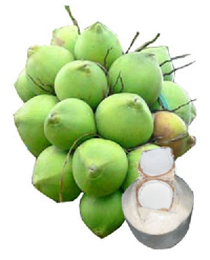 Trước khi thi đấu thể thao, không nên uống nước dừa, không nên lạm dụng quá nhiều, mỗi ngày chỉ nên uống một quả. Phụ nữ thai kỳ, trẻ sơ sinh cũng có thể dùng bình thường vì an toàn và không để lại phản ứng phụ có hại cho sức khỏe. Xem thêm:Táo là loại quả chứa nhiều thuốc trừ sâu nhất? Trước khi thi đấu thể thao, không nên uống nước dừa, không nên lạm dụng quá nhiều, mỗi ngày chỉ nên uống một quả. Phụ nữ thai kỳ, trẻ sơ sinh cũng có thể dùng bình thường vì an toàn và không để lại phản ứng phụ có hại cho sức khỏe. Xem thêm:Táo là loại quả chứa nhiều thuốc trừ sâu nhất?