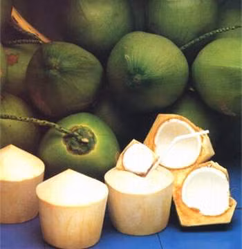 Nước dừa tươi giàu vitamin C (ascorbic acid); cung cấp khoảng 2,4mcg hoặc 4% nhu cầu hàng ngày cho cơ thể. Xem thêm:Táo là loại quả chứa nhiều thuốc trừ sâu nhất?