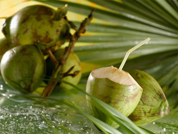 Nếu đã mở nên dùng ngay, để lâu biến chất và chuyển sang vị chua. Nếu không dùng hết nên cất trong tủ lạnh. Mới đi nắng về, hoặc lúc đang đói mệt không nên uống nước dừa, nhất là người đang có bệnh vì dễ bị gây ra tác dụng phụ như gai sốt, ớn lạnh… Xem thêm:Táo là loại quả chứa nhiều thuốc trừ sâu nhất? Nếu đã mở nên dùng ngay, để lâu biến chất và chuyển sang vị chua. Nếu không dùng hết nên cất trong tủ lạnh. Mới đi nắng về, hoặc lúc đang đói mệt không nên uống nước dừa, nhất là người đang có bệnh vì dễ bị gây ra tác dụng phụ như gai sốt, ớn lạnh… Xem thêm:Táo là loại quả chứa nhiều thuốc trừ sâu nhất?