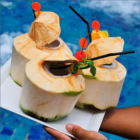 Nước dừa còn được dùng để chế biến thức ăn như kho cá, thịt, nấu xôi, luộc gà… có tác dụng làm tăng hương vị thơm ngon, hấp dẫn cho các món ăn, thích hợp cho nhóm người già, trẻ nhỏ và những người gầy yếu. Xem thêm:Táo là loại quả chứa nhiều thuốc trừ sâu nhất?