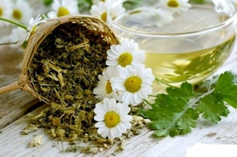 Các loại thảo dược trên đều là những loại quen thuộc, dễ kiếm trong tự nhiên. Tùy từng loại thảo dược mà có thể sử dụng để ăn sống, giã lấy nước như rau má, rau diếp cá, vừa có thể nấu nóng dùng liền, hoặc sử dụng như một loại rau, thực phẩm trong bữa ăn hàng ngày. Xem thêm: Điểm mặt những thực phẩm tốt nhất cho bữa sáng của trẻ Các loại thảo dược trên đều là những loại quen thuộc, dễ kiếm trong tự nhiên. Tùy từng loại thảo dược mà có thể sử dụng để ăn sống, giã lấy nước như rau má, rau diếp cá, vừa có thể nấu nóng dùng liền, hoặc sử dụng như một loại rau, thực phẩm trong bữa ăn hàng ngày. Xem thêm: Điểm mặt những thực phẩm tốt nhất cho bữa sáng của trẻ