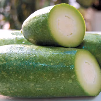 Như với bí đao, người bệnh có thể dùng nấu canh, sắc uống hàng ngày giúp chữa tiểu không thông, tiểu ít, mụn nhọt. (Trong ảnh: Bí đao) Xem thêm: Điểm mặt những thực phẩm tốt nhất cho bữa sáng của trẻ Như với bí đao, người bệnh có thể dùng nấu canh, sắc uống hàng ngày giúp chữa tiểu không thông, tiểu ít, mụn nhọt. (Trong ảnh: Bí đao) Xem thêm: Điểm mặt những thực phẩm tốt nhất cho bữa sáng của trẻ