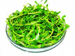 Rau đắng có tác dụng làm mát gan (kích thích tiết mật, nhuận tràng), lở miệng do nóng trong người, viêm nha chu, chảy máu răng, chữa tiểu buốt, giải độc, mụn nhọt, vàng da. Nước rau đắng uống nhiều lần trong ngày có thể ngừa sạn thận và sỏi mật...(Trong ảnh:rau đắng) Xem thêm: Điểm mặt những thực phẩm tốt nhất cho bữa sáng của trẻ Rau đắng có tác dụng làm mát gan (kích thích tiết mật, nhuận tràng), lở miệng do nóng trong người, viêm nha chu, chảy máu răng, chữa tiểu buốt, giải độc, mụn nhọt, vàng da. Nước rau đắng uống nhiều lần trong ngày có thể ngừa sạn thận và sỏi mật...(Trong ảnh:rau đắng) Xem thêm: Điểm mặt những thực phẩm tốt nhất cho bữa sáng của trẻ